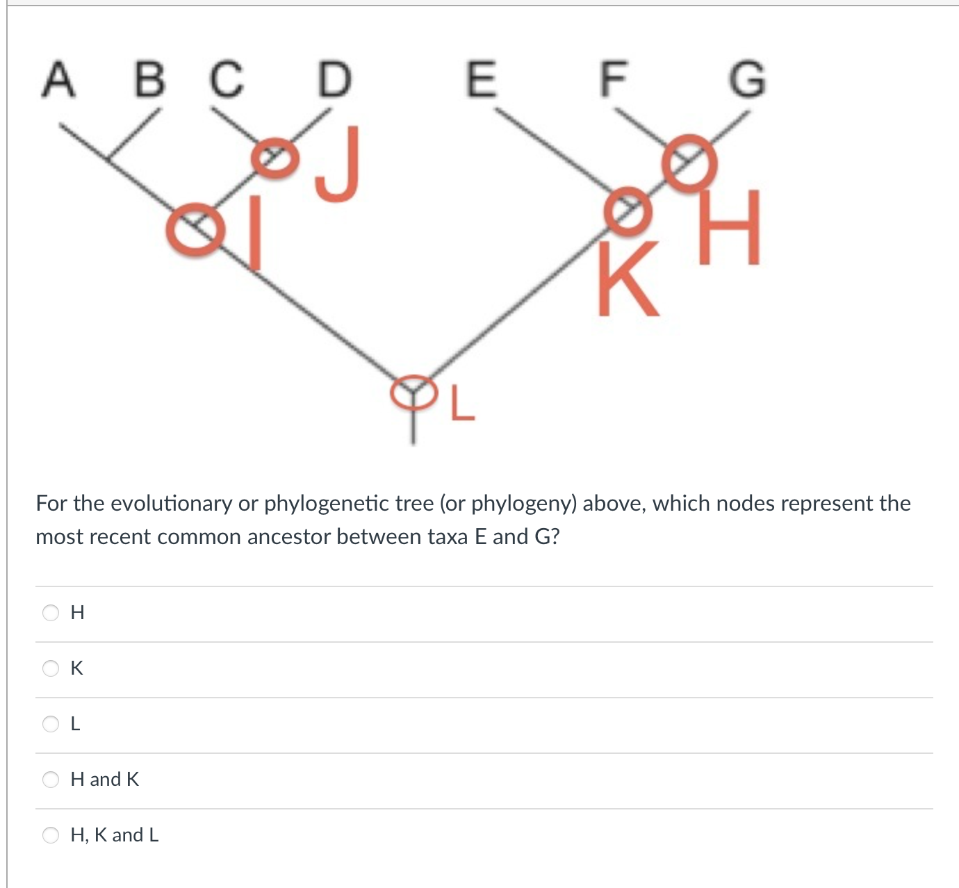 Solved For the evolutionary or phylogenetic tree (or | Chegg.com