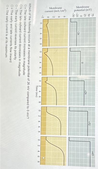 Solved Which of the following occurs at a membrane potential | Chegg.com