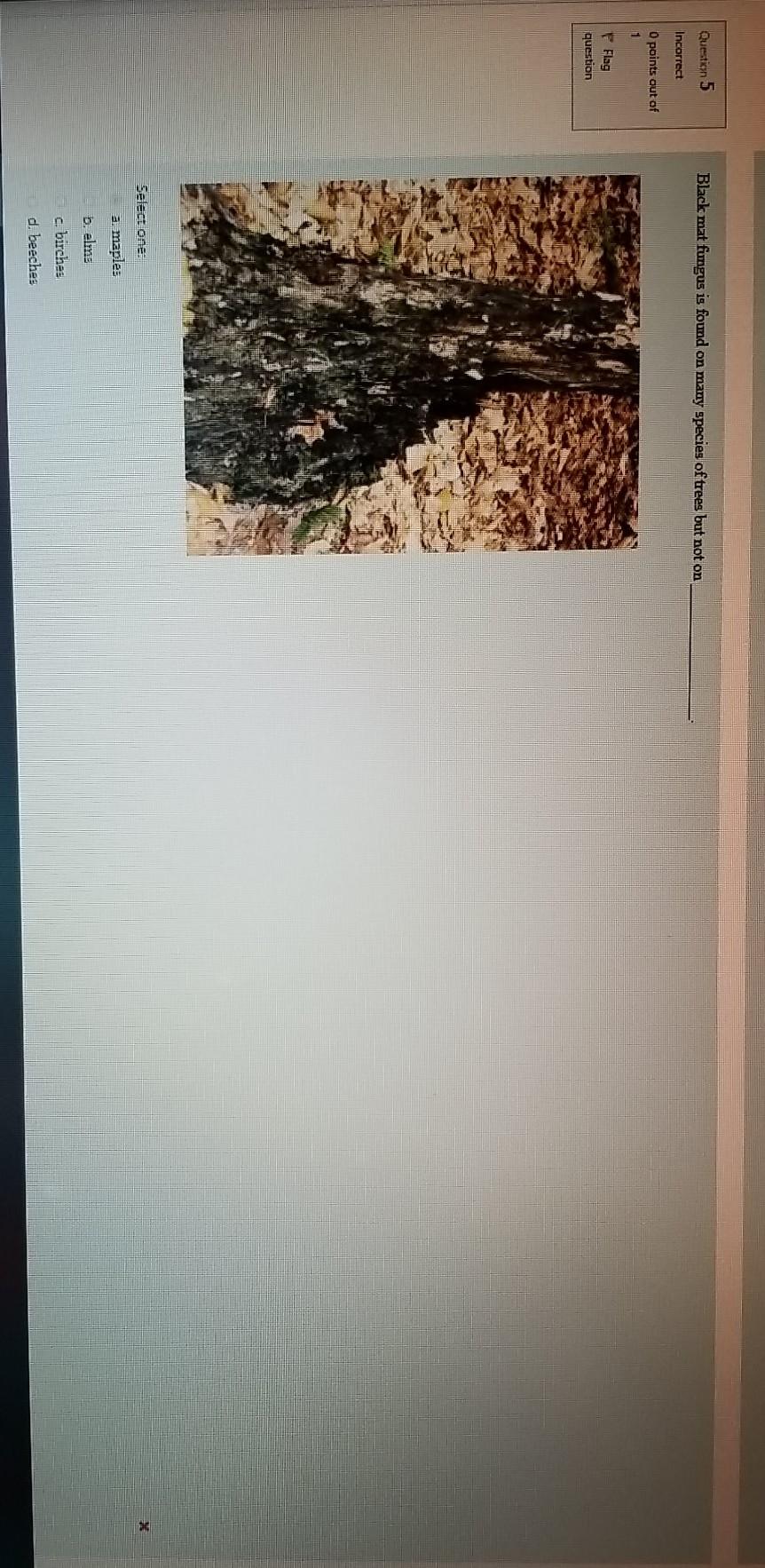 hello, I need help with this question please look | Chegg.com
