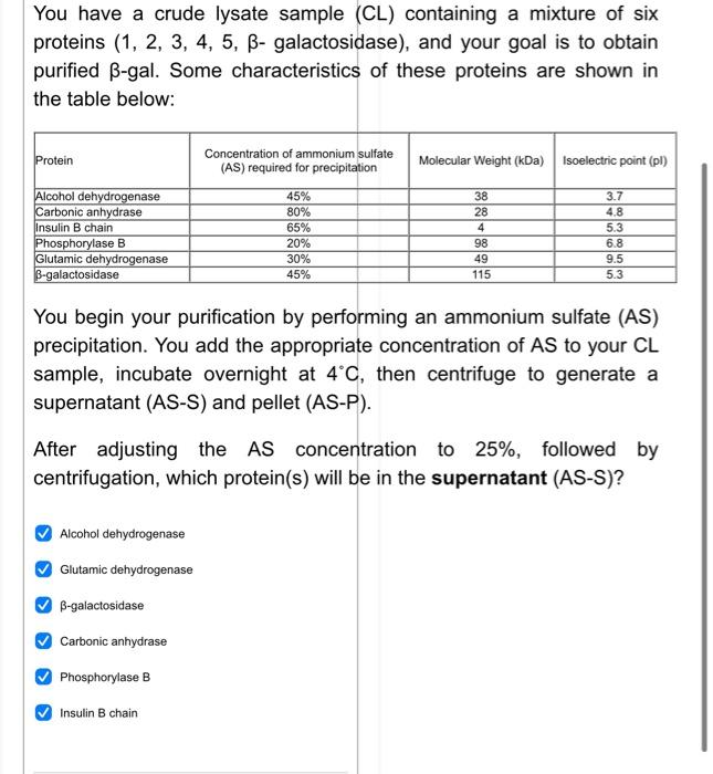 Solved You have a crude lysate sample (CL) containing a | Chegg.com