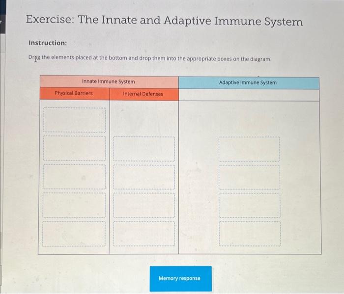 Exercise: The Innate and Adaptive Immune System | Chegg.com