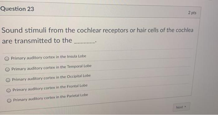 Question 23 2 pts Sound stimuli from the cochlear receptors or hair cells of the cochlea are transmitted to the Primary audit