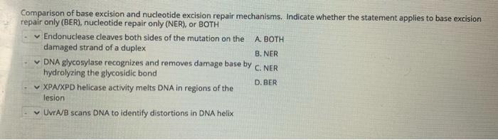 Solved Comparison of base excision and nucleotide excision | Chegg.com