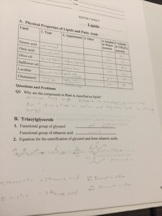 Solved REPORT SHEET Lipids A. Physical Properties of Lipids