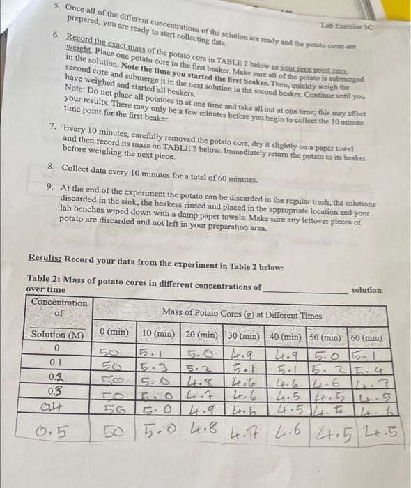 a prediction based on your hypothesis