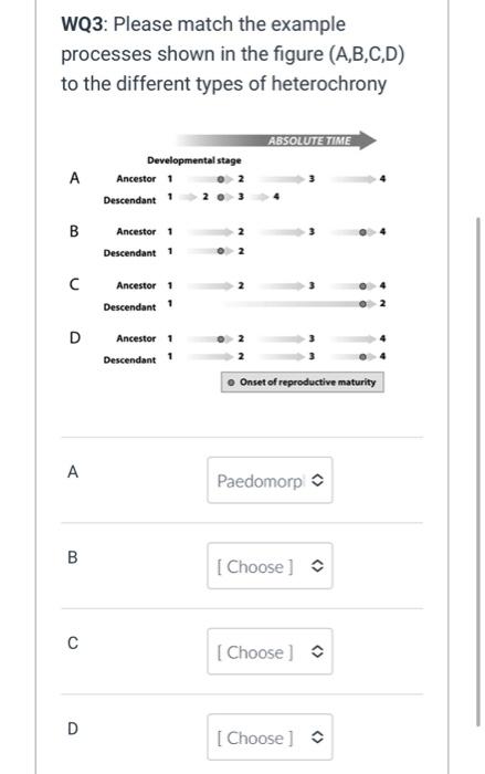 Solved WQ3: Please match the example processes shown in the | Chegg.com