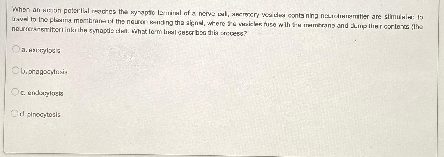 what happens when an action potential reaches the synaptic terminal