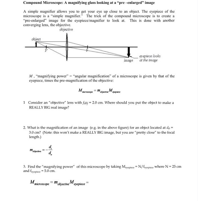 Solved Compound Microscope A magnifying glass looking at a