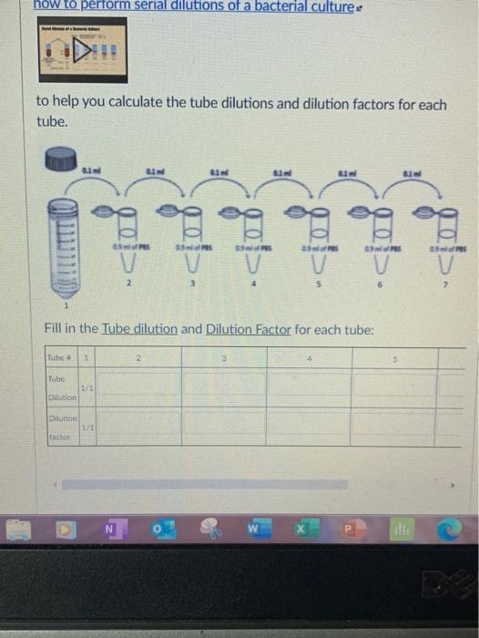Solved Calculate the Tube dilutions and Dilution factors for