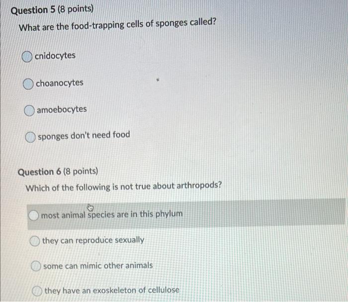 Solved Question 5 (8 points) What are the foodtrapping