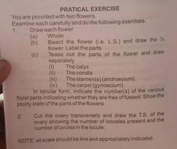 Solved PRATICAL EXERCISE You are provided with two flowers | Chegg.com