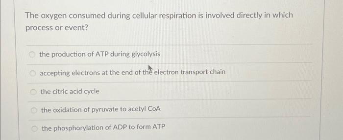 solved-what-is-the-term-for-the-catabolic-pathway-to-break-chegg