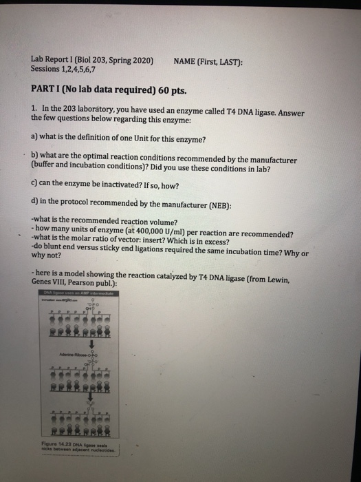 NAME (First, LAST): Lab Report 1 (Biol 203, Spring | Chegg.com