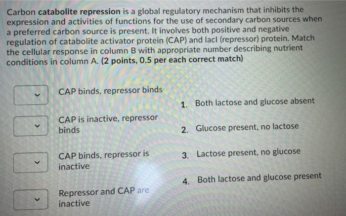 Solved Carbon catabolite repression is a global regulatory | Chegg.com