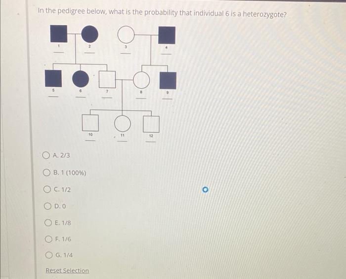 Solved In the pedigree below, what is the probability that | Chegg.com