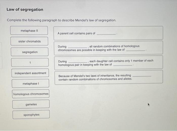 Solved Complete The Following Paragraph To Describe Mendel's | Chegg.com