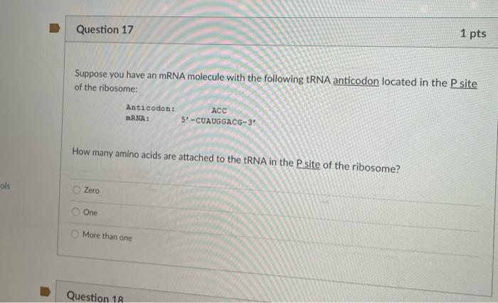 Solved Question 15 1 pts Suppose you have an mRNA molecule | Chegg.com