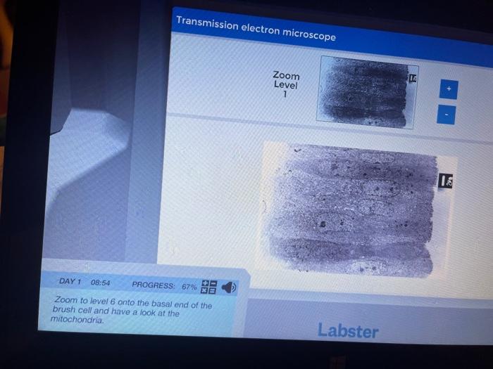 Transmission electron microscope Zoom Level 1 DE 18