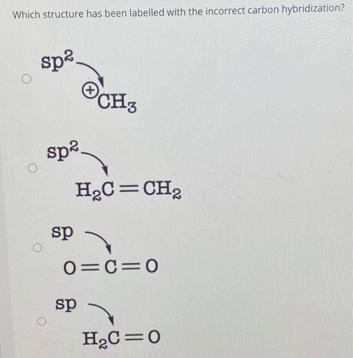 Solved Which structure has been labelled with the incorrect | Chegg.com