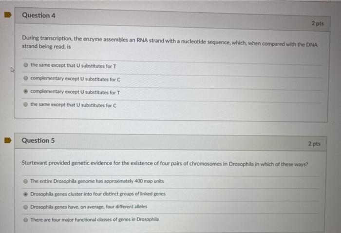 Solved Question 4 2 pts During transcription, the enzyme | Chegg.com