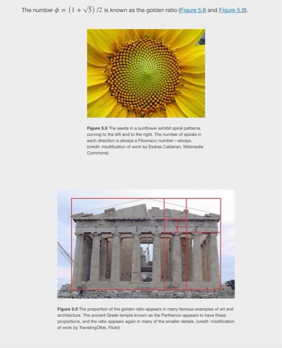Solved 1. (20 points) Complete the student project | Chegg.com