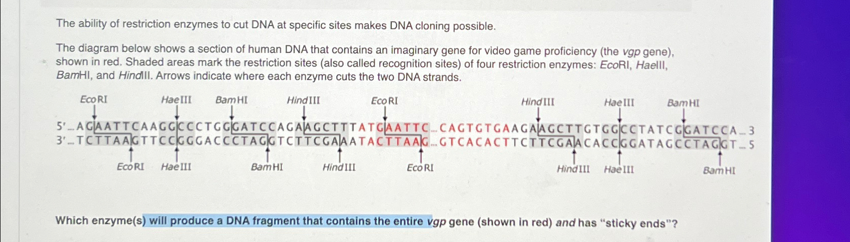 Solved The ability of restriction enzymes to cut DNA at | Chegg.com