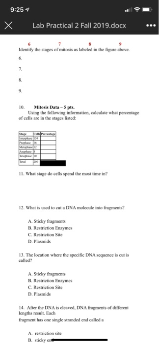 Solved 9:25 7 x Lab Practical 2 Fall 2019.docx ... 7 | Chegg.com