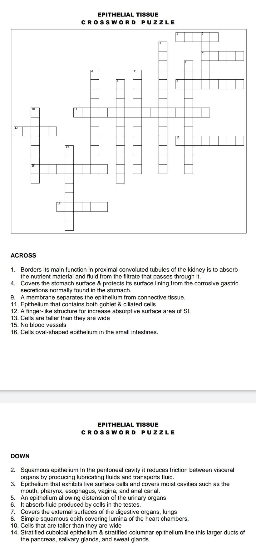 Solved EPITHELIAL TISSUE CROSSWORD PUZZLE 11 ACROSS 1 Chegg com