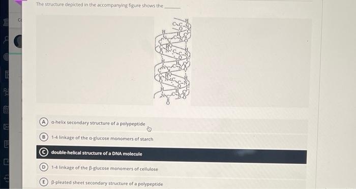 The structure depicted in the accompanying figure shows the
A dihelix secondary structure of a polypeptide
B \( 1.4 \) linkag