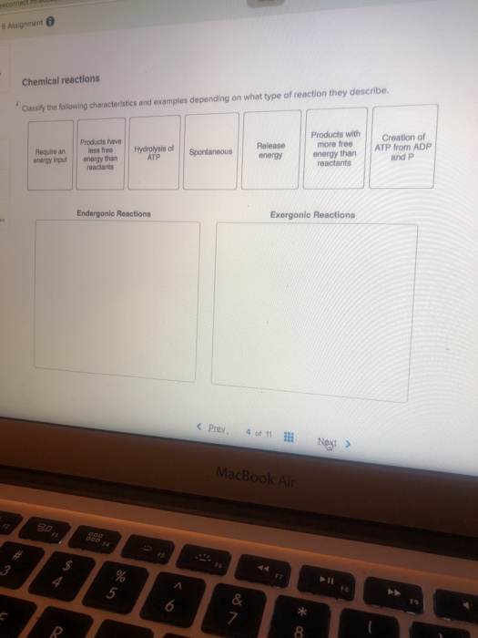 Solved Classify The Following Characteristics And Examples