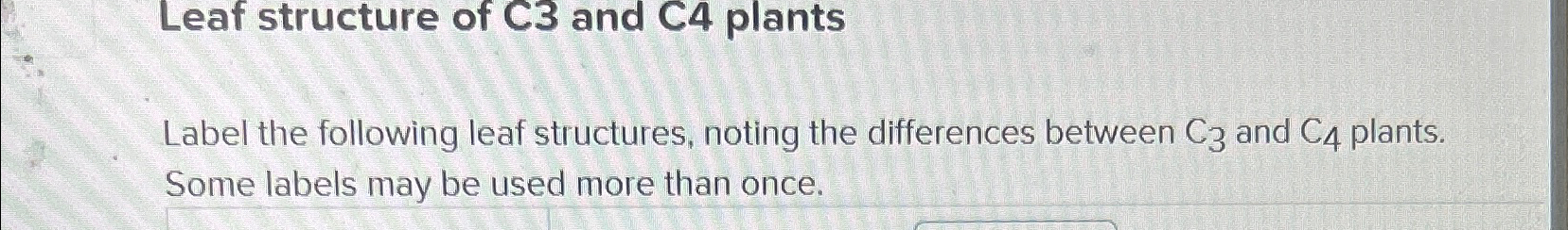 Solved Leaf structure of C3 ﻿and C4 ﻿plantsLabel the | Chegg.com