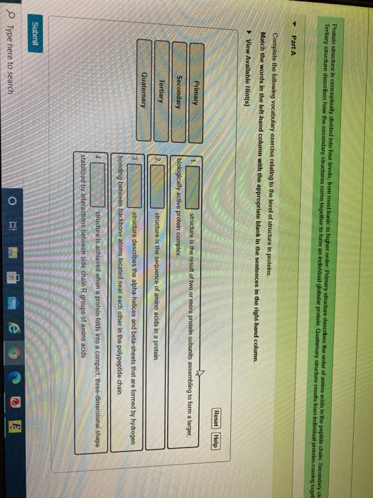 Solved Protein structure in conceptually divided into four | Chegg.com