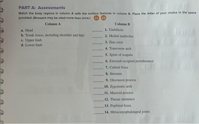 13 particular features of iliac crest 