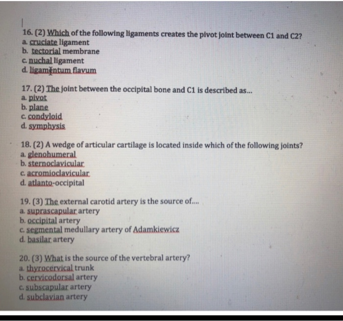 Solved 1 16. (2) Which of the following ligaments creates | Chegg.com