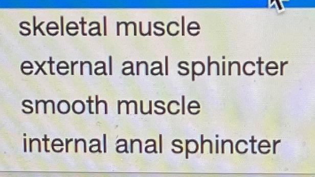 Solved When feces enters the rectal vault a sensory message | Chegg.com