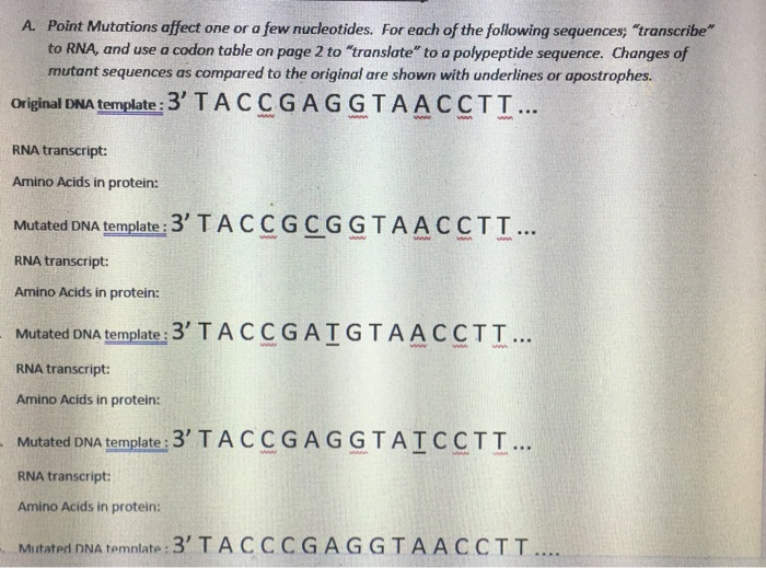 Solved A. Point Mutations affect one or a few nucleotides. | Chegg.com