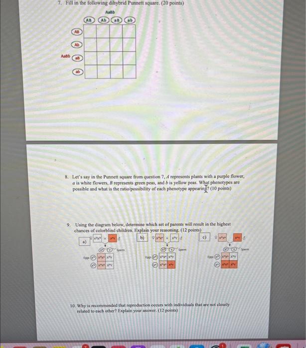 Solved 8. Let's Say In The Punnett Square From Question 7,A | Chegg.com