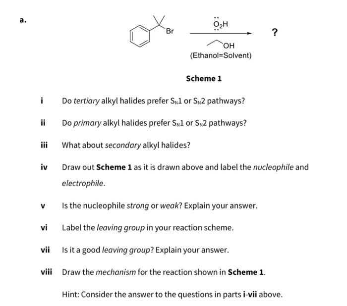 Solved a. OHO¨2H ? (Ethanol=Solvent) Scheme 1 i Do tertiary | Chegg.com