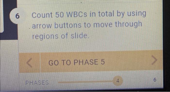 Count 50 WBCs in total by using arrow buttons to move through regions of slide.