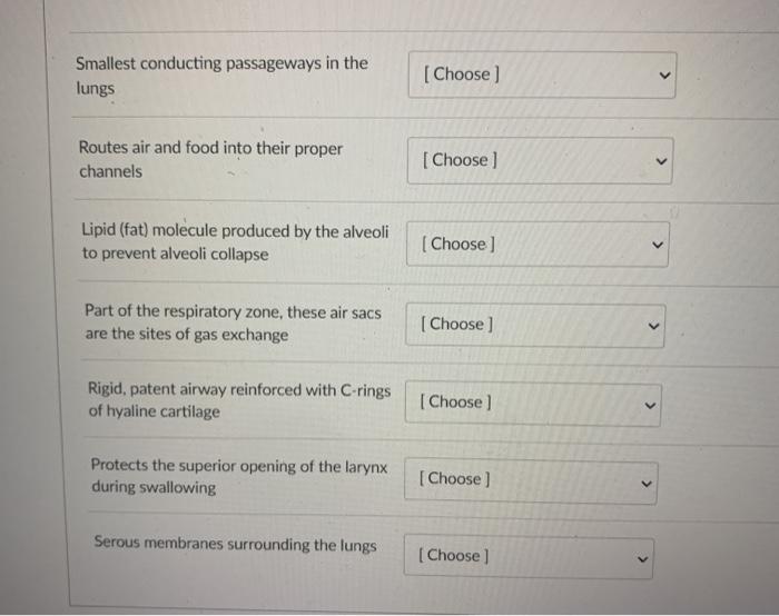 solved-smallest-conducting-passageways-in-the-lungs-choose-chegg