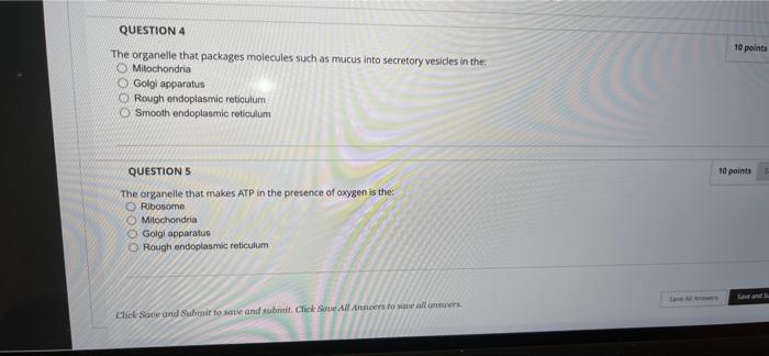 Solved Question Completion Status: 10 points QUESTION 1 | Chegg.com