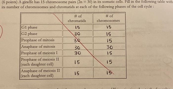 student submitted image, transcription available below