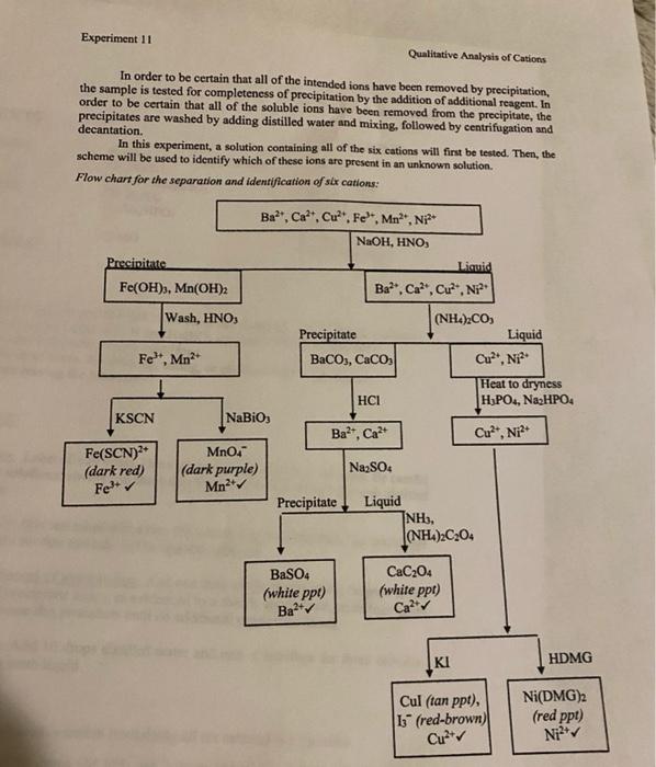 Solved Below is the experiment Qualitative Analysis of