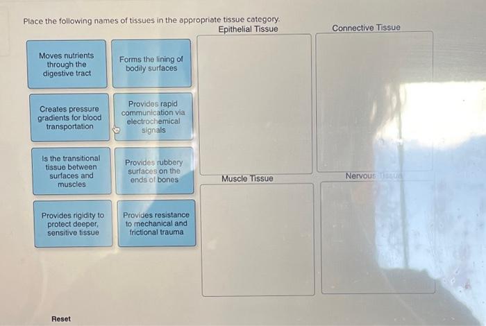 Solved Place The Following Names Of Tissues In The Approp
