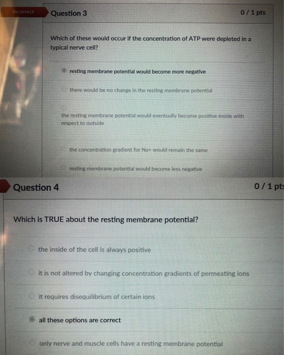 Solved Incorrect Question 3 0/1 pts Which of these would | Chegg.com