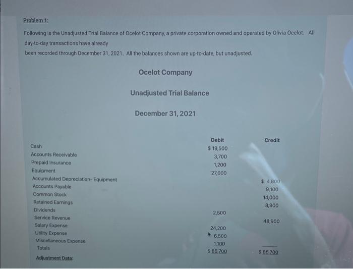 Problem 1:
Following is the Unadjusted Trial Balance of Ocelot Company, a private corporation owned and operated by Olivia Oc