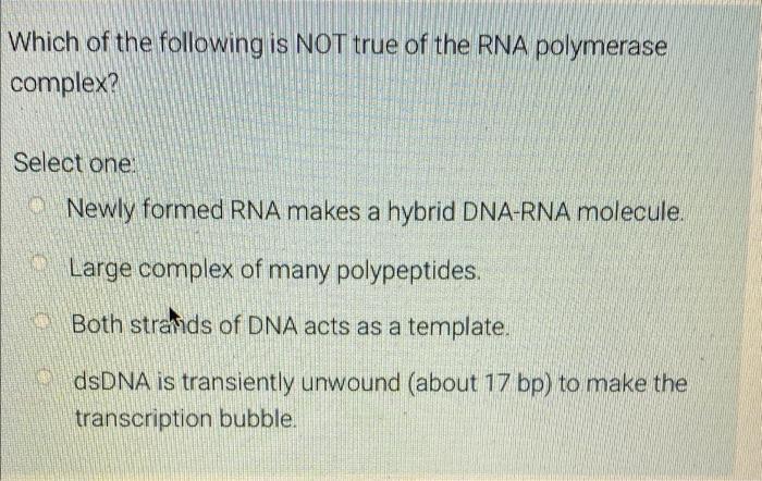 Solved Which of the following is NOT true of the RNA | Chegg.com