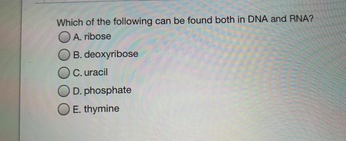 Solved Which of the following can be found both in DNA and | Chegg.com
