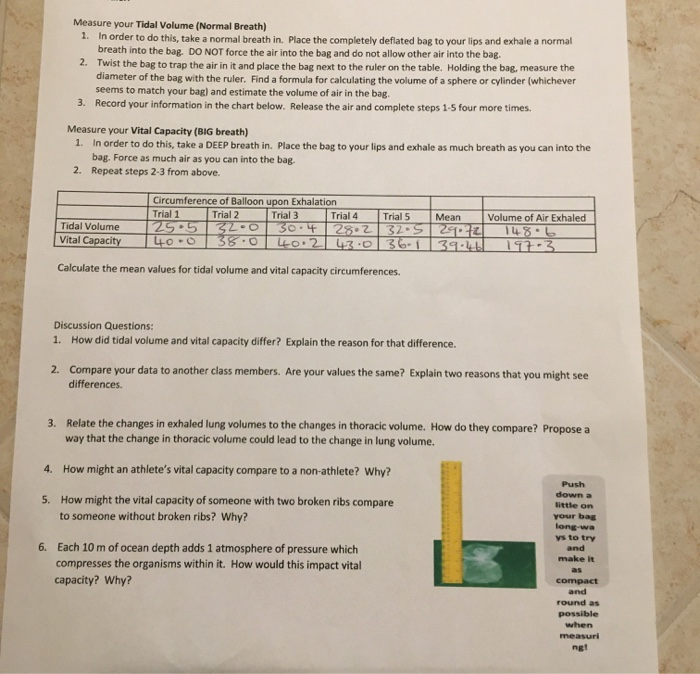 Measure your Tidal Volume (Normal Breath) 1. In order
