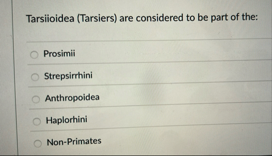 Solved Tarsiioidea (Tarsiers) ﻿are considered to be part of | Chegg.com